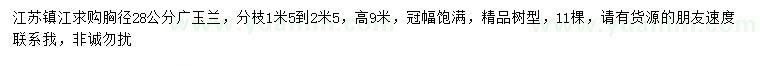 求購胸徑28公分廣玉蘭