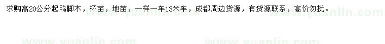 求購高20公分起鴨腳木
