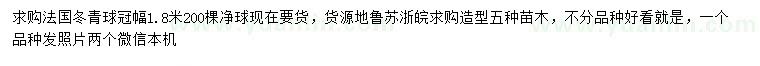 求購冠幅1.8米法國冬青球