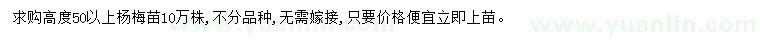 求購高50公分以上楊梅樹