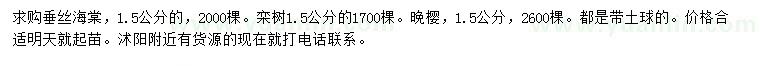 求購垂絲海棠、欒樹、晚櫻等