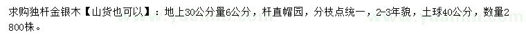 求購30量6公分金銀木