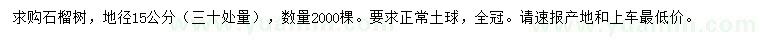 求購30量15公分石榴樹
