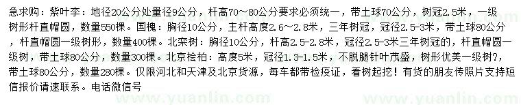 求購紫葉李、國槐、北欒等