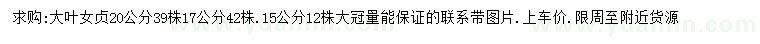 求購15、17、20公分大葉女貞