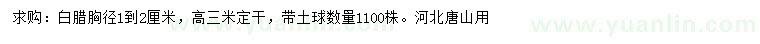 求購胸徑1-2公分白蠟