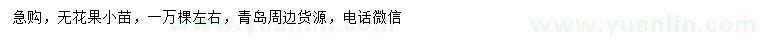 求購(gòu)無(wú)花果小苗