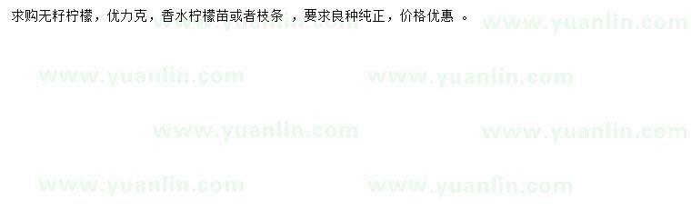 求購無籽檸檬、尤力克、香水檸檬