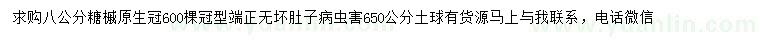 求購8公分糖槭