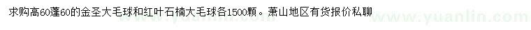 求購冠幅60公分金森毛球、紅葉石楠毛球