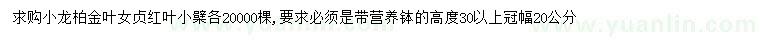 求購小龍柏、金葉女貞、紅葉小檗