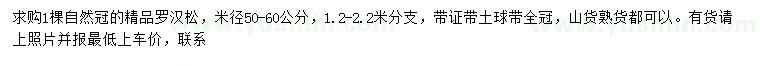 求購米徑50-60公分羅漢松