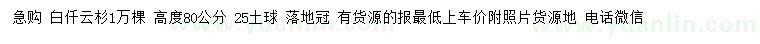 求購高80公分白扦云杉