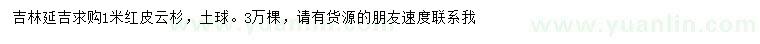 求購1米紅皮云杉