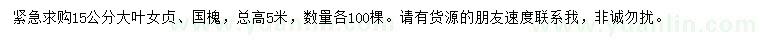 求購(gòu)15公分大葉女貞、國(guó)槐