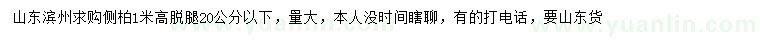 求購高1米側(cè)柏