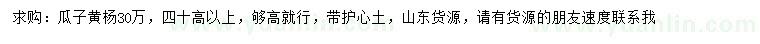求購高40公分以上瓜子黃楊