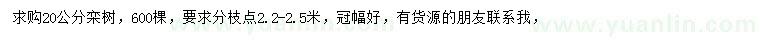 求購20公分欒樹
