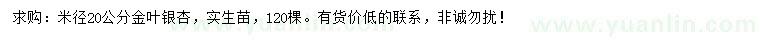求購(gòu)米徑20公分金葉銀杏