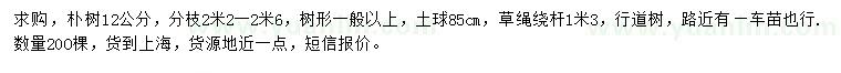求購胸徑12公分樸樹