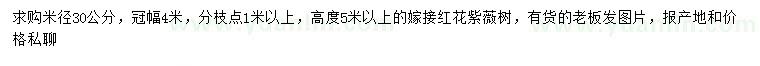 求購米徑30公分紅花紫薇