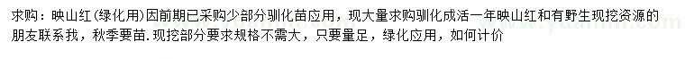 求購映山紅