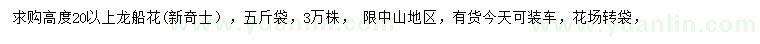 求購高20公分以上龍船花