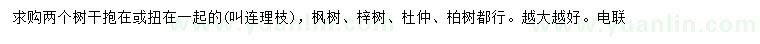 求購楓樹、梓樹、杜仲等