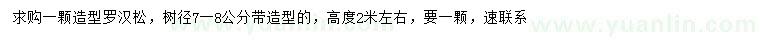 求購7-8公分羅漢松