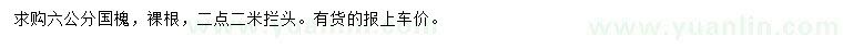 求購6公分國槐