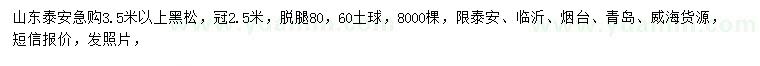 求購(gòu)3.5米以上黑松