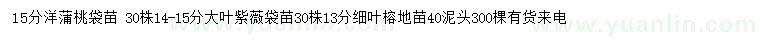 求購洋蒲桃、大葉紫薇、細葉榕