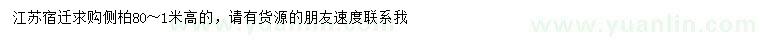 求購(gòu)高80-100公分側(cè)柏