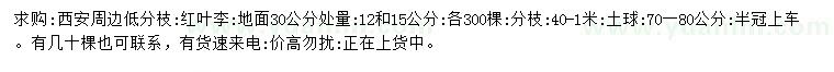 求購(gòu)30量12、15公分紅葉李