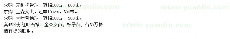 求購(gòu)無(wú)刺構(gòu)骨球、金森女貞球、大葉黃楊球等