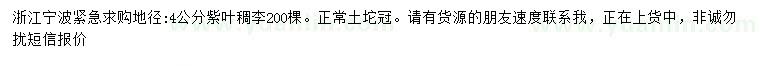 求購(gòu)地徑4公分紫葉稠李