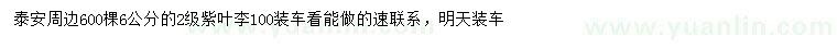 求購6公分紫葉李