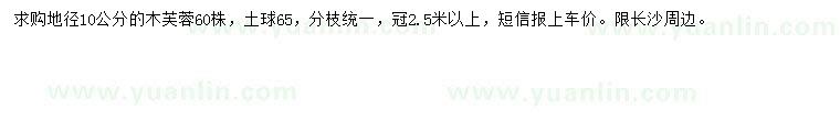 求購地徑10公分木芙蓉
