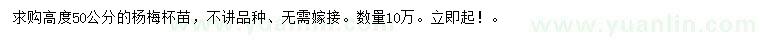 求購高50公分楊梅樹