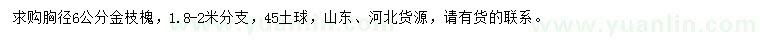 求購(gòu)胸徑6公分金枝槐
