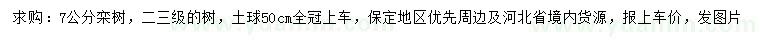 求購7公分欒樹