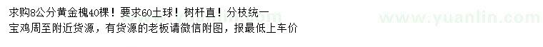 求購(gòu)8公分黃金槐