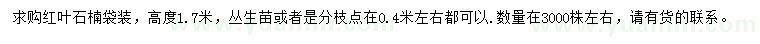求購高1.7米紅葉石楠