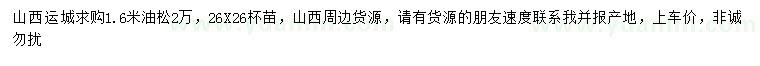 求購(gòu)1.6米油松