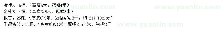 求購(gòu)金桂、銀杏、樂(lè)昌含笑