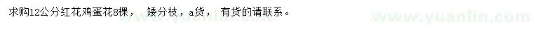 求購12公分紅花雞蛋花