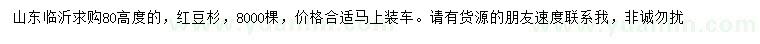 求購高80公分紅豆杉