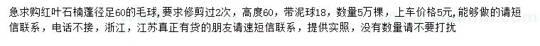 求購冠幅60公分紅葉石楠