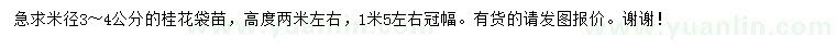求購米徑3-4公分桂花