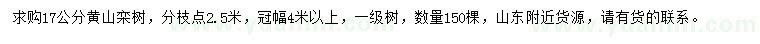 求購17公分黃山欒樹